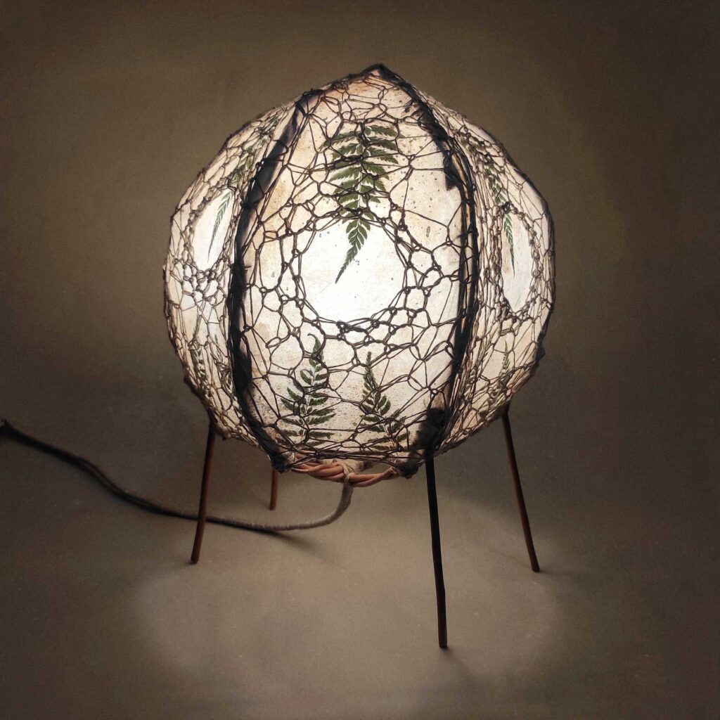 eIMG_20230216_091440