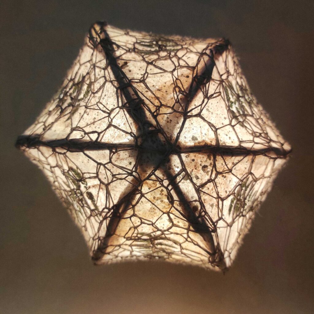 eIMG_20230216_091724