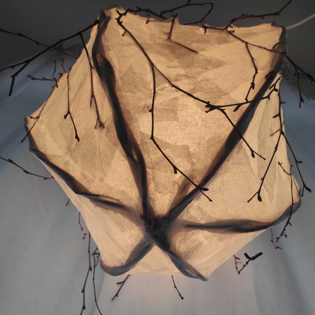 eIMG_20230309_123412