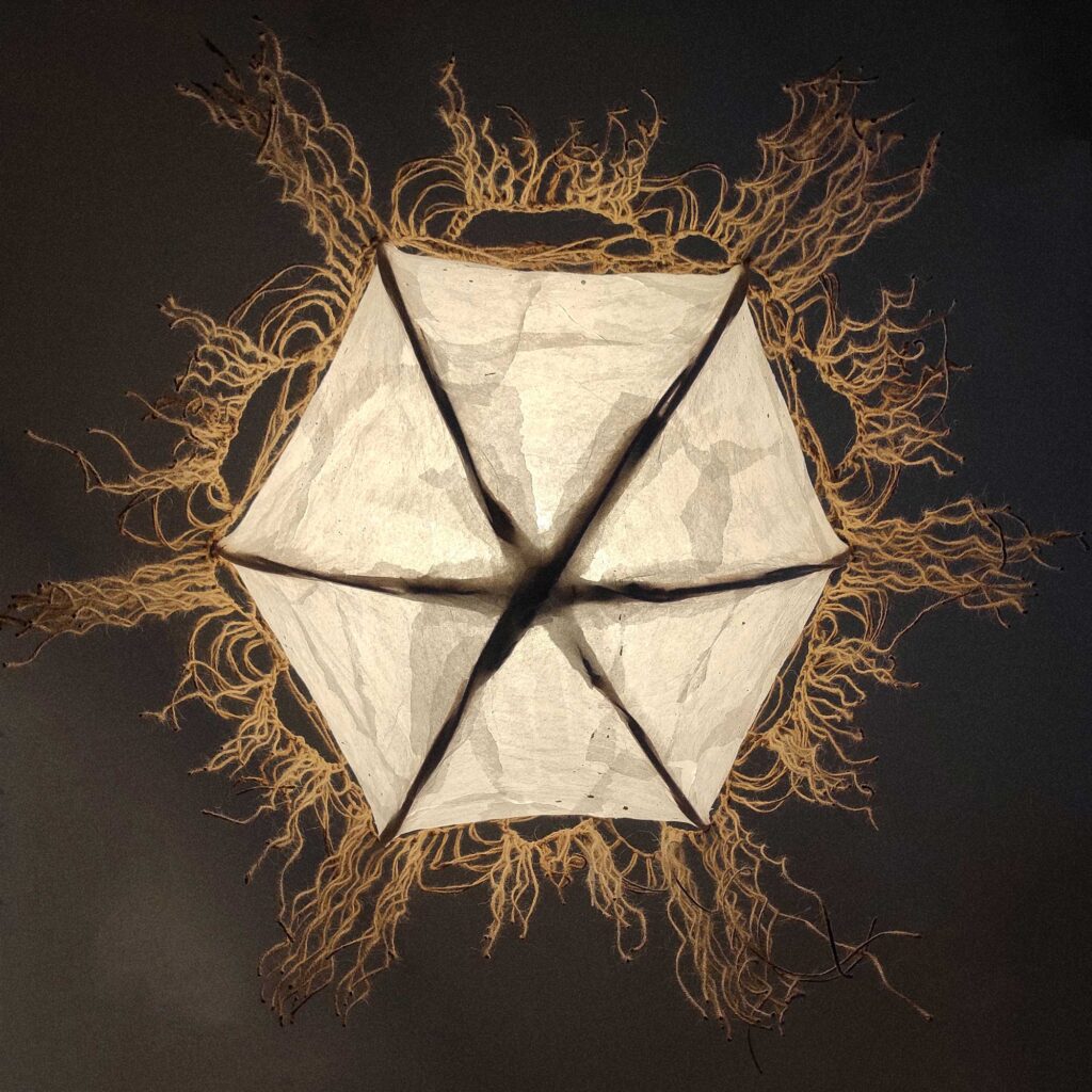 eIMG_20230319_074644